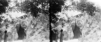 Jardín botánico en el interior con los invernaderos de media sombra, estereoscópica