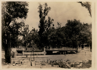 Puente y pequeño lago en el lote de terreno destinado a jardín zoológico