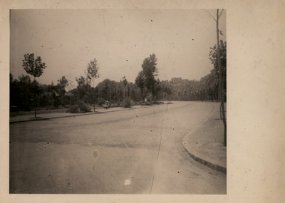 Parte de la gran avenida del Bosque de Chapultepec