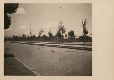 Gran calzada recta en el Bosque de Chapultepec