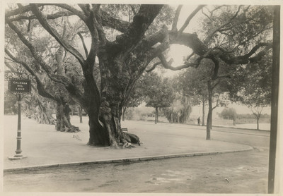 Calzada del Lago, parte de la terraza del lago