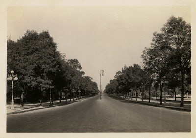 Calzada del Bosque, prolongación de la Reforma