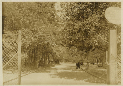 Calzada de la entrada del Bosque de Chapultepec