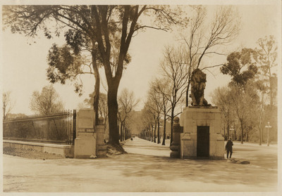 León y pilastra a la entrada de la calzada para peatones, lado sur