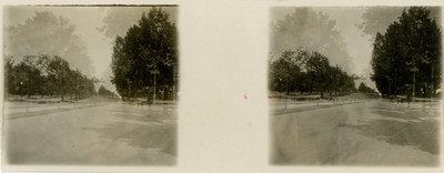 Tramo de la Gran Calzada en Chapultepec, estereoscópica