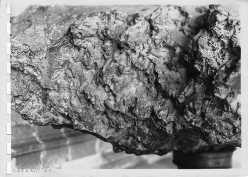 Meteorita