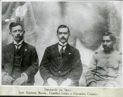 Diputación de Tepic