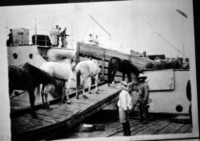Embarque de caballos en el puerto de Veracruz