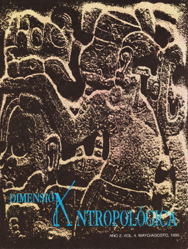 Dimensión Antropológica Vol. 4 (1995)
