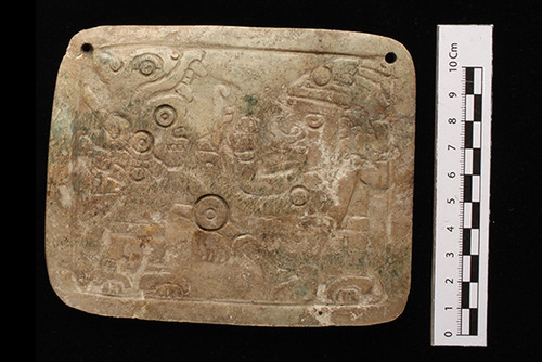 Pectoral