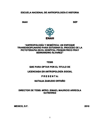 Antropología y semiótica: un enfoque transdisciplinario para estudiar el proceso de la pictoterapia en el Hospital Psiquiátrico Fray Bernardino Álvarez