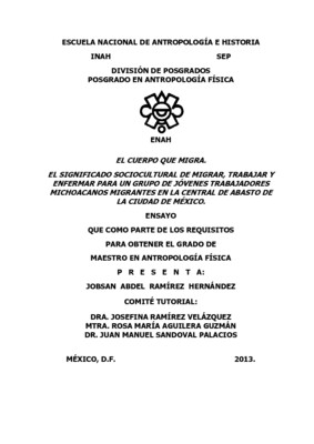 El cuerpo que migra. El significado sociocultural de migrar, trabajar y enfermar para un grupo de jóvenes trabajadores michoacanos migrantes en la central de abastos de la ciudad de México