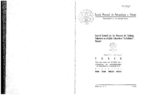 Control estatal de los procesos de trabajo