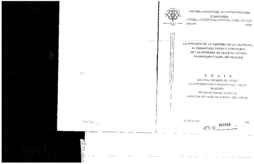 La función de la partera en la asistencia al embarazo