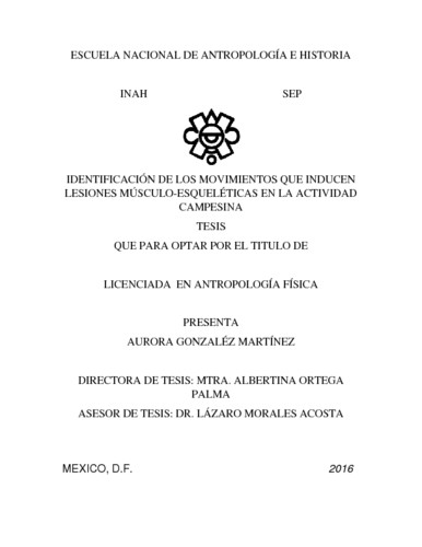 Identificación de los movimientos que inducen leciones músculo-esqueléticas en la actividad campesina