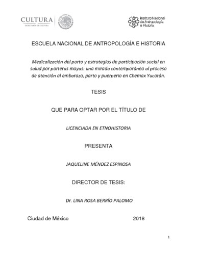 Medicalización del parto y estrategias de participación social en salud por parteras mayas