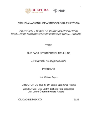 Paleodieta a través de almidones en cálculos dentales de individuos sacrificados en Toniná, Chiapas