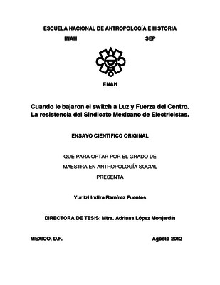 Cuando le bajaron el switch a Luz y Fuerza del Centro. La resistencia del Sindicato Mexicano de Electricistas