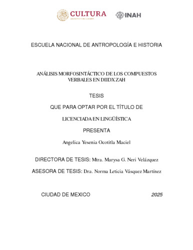 Análisis morfosintáctico de los compuestos verbales en Diidx zah